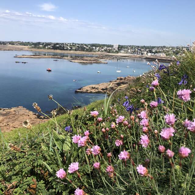 Ile Milliau - Découverte et pique-nique en anglais