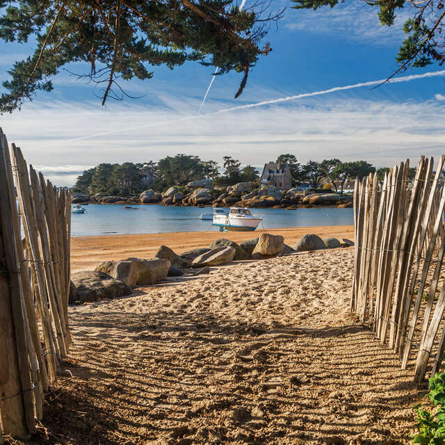 Ile Renote -  Histoires et paysages abracadabrants