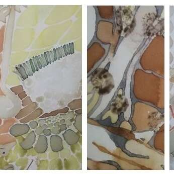 Karine Le Meur - Peinture