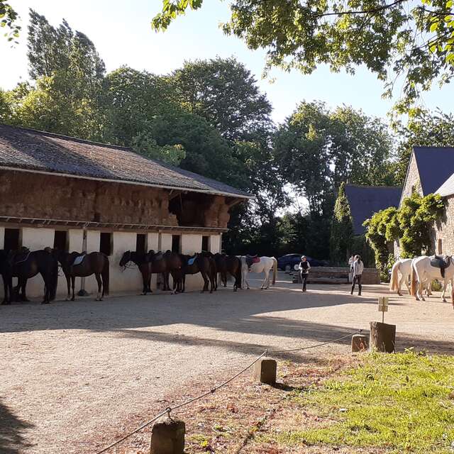 Keropartz Equitation