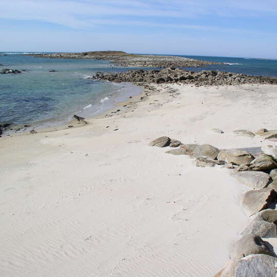 Plage de Treiz Lern, Landrellec