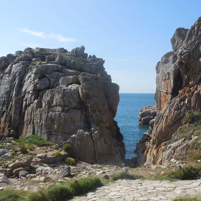 Atelier d'initiation au dessin botanique