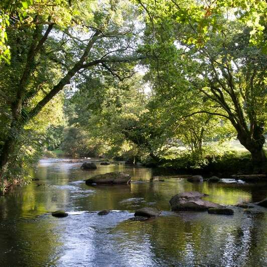 Vallée du Léguer - Rivière Sauvage
