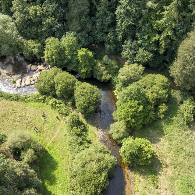 Le fabuleux destin du saumon atlantique