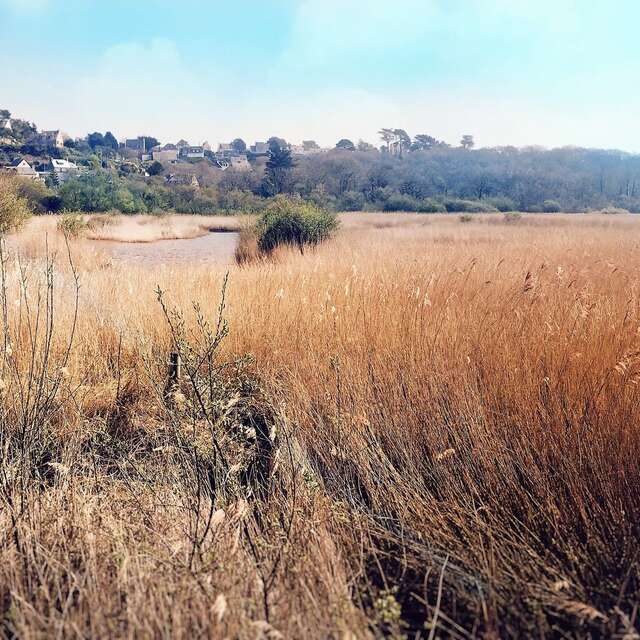Les abords du Marais du Quellen, côté mer