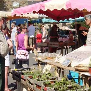 Marché de Pleubian