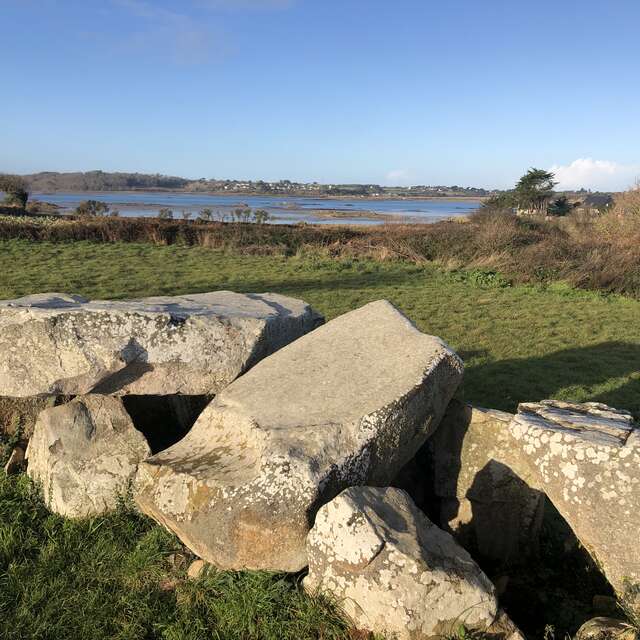 Visite commentée de l'exposition - Mégalithes du Trégor, quand les pierres racontent la (pré)histoire