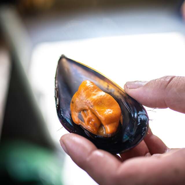 Meskler Treger – Les Moules de Locquémeau