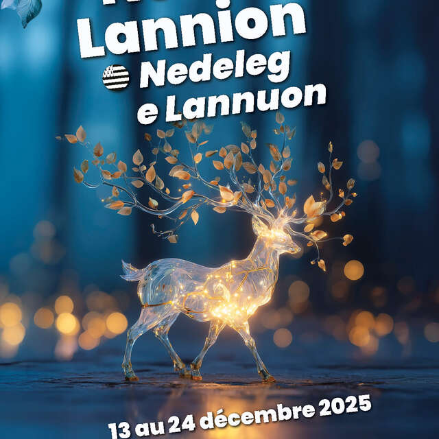 Noël à Lannion - Animations