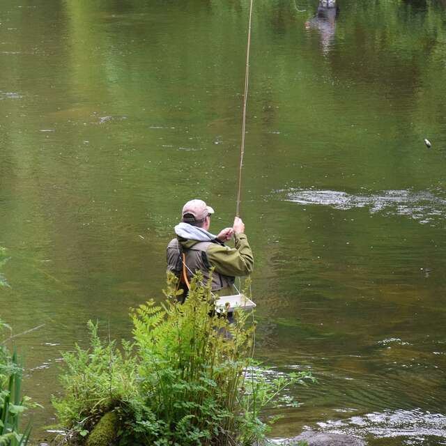 Fédération de pêche des Côtes d'Armor