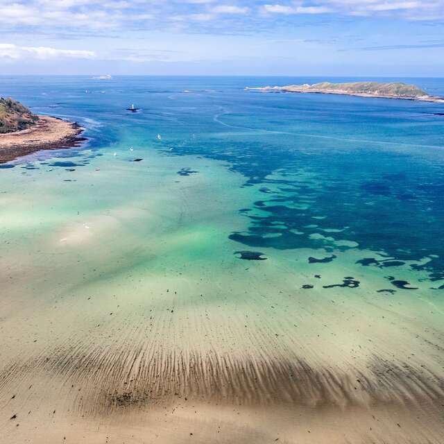 Découverte de la biodiversité de l'estran