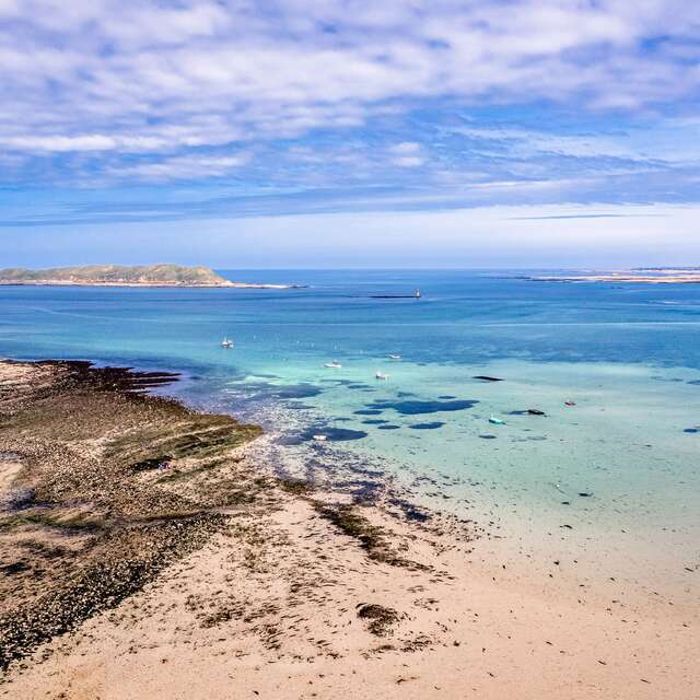 Découverte de la biodiversité de l'estran