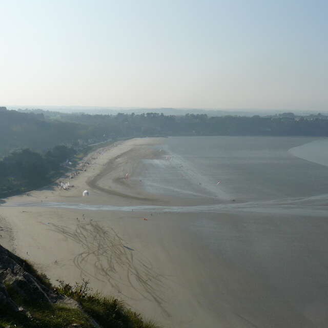 Journée mondiale des zones humides - Les oiseaux hivernants de la Lieue de Grève