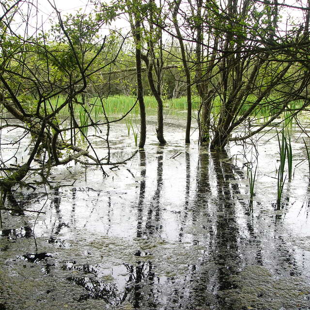 Journée mondiale des zones humides - Kerouspic