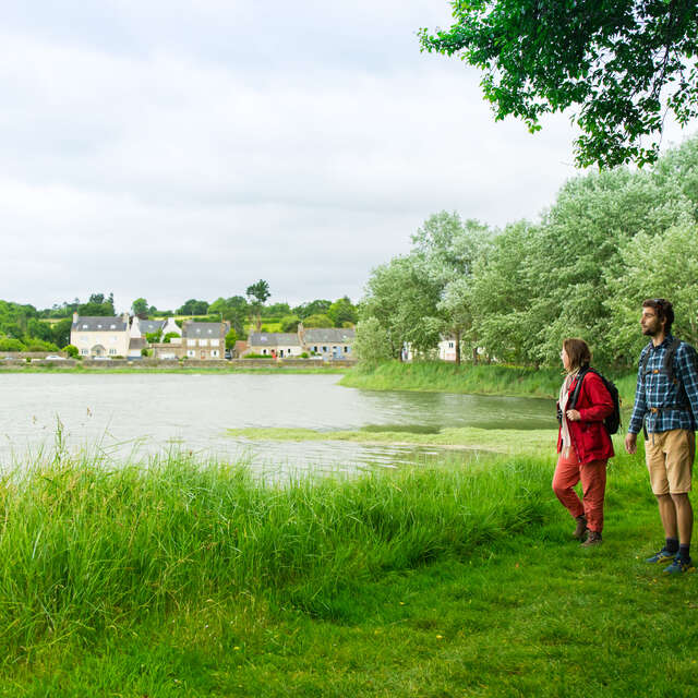 A la découverte de l'estuaire du Bizien