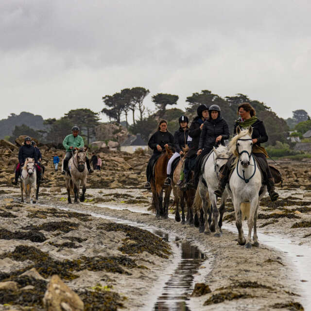 Pardon aux chevaux de Saint Gildas