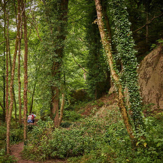 Découverte nature dans la Vallée des Traouïéro