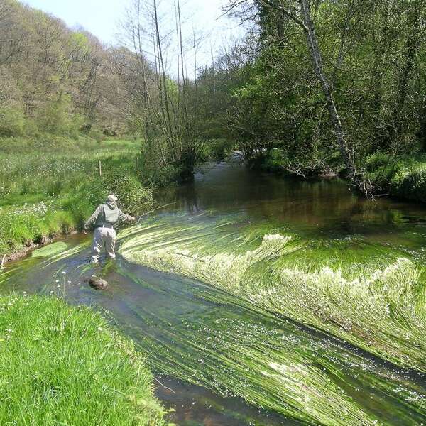 Parcours pêche sur le Guic