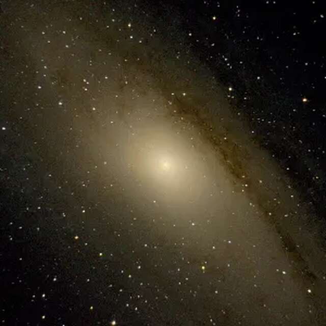 L'homme à l'échelle de l'univers