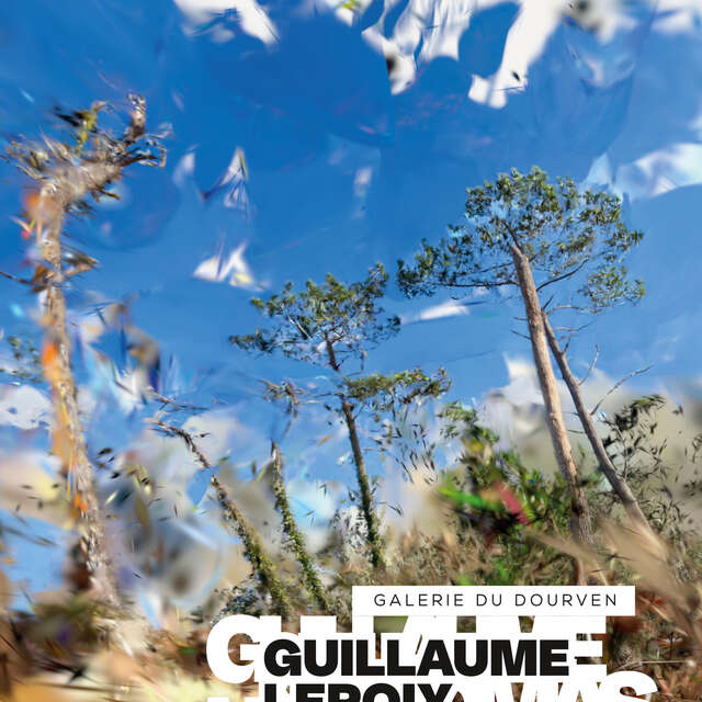 Seuil critique de Thomas Daveluy et Guillaume Lepoix