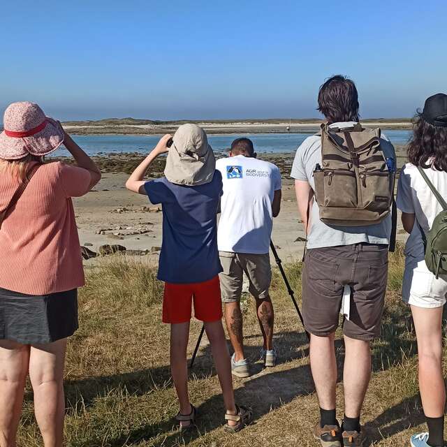 Observons les oiseaux de l'Ile Grande