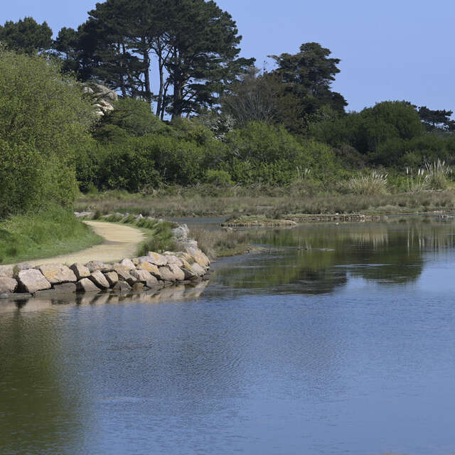 Promenade accessible - Le lac des cygnes