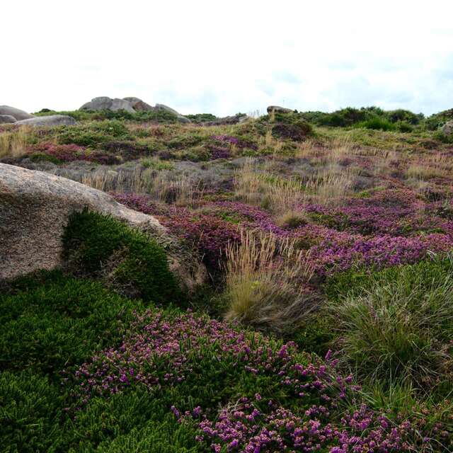 Balade nature