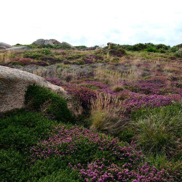 Balade nature