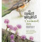 Les saisons : l'hiver