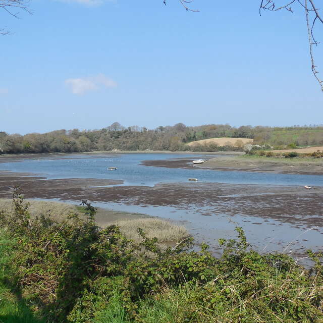 L'estuaire du Bizien