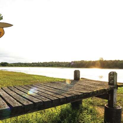 Enquête Plounérin Unité Spéciale à l'étang du Moulin Neuf