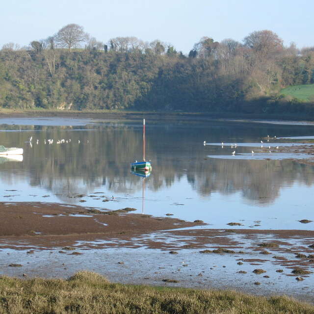 Journée mondiale des zones humides - Les oiseaux de l'estuaire du Bizien