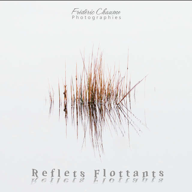 Reflets flottants - Photographies - Léguer en fête