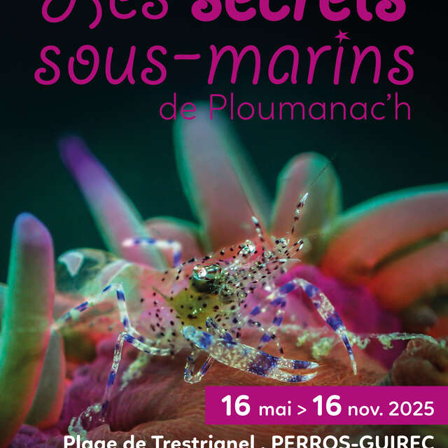 Exposition photos : les secrets sous-marins de Ploumanac'h