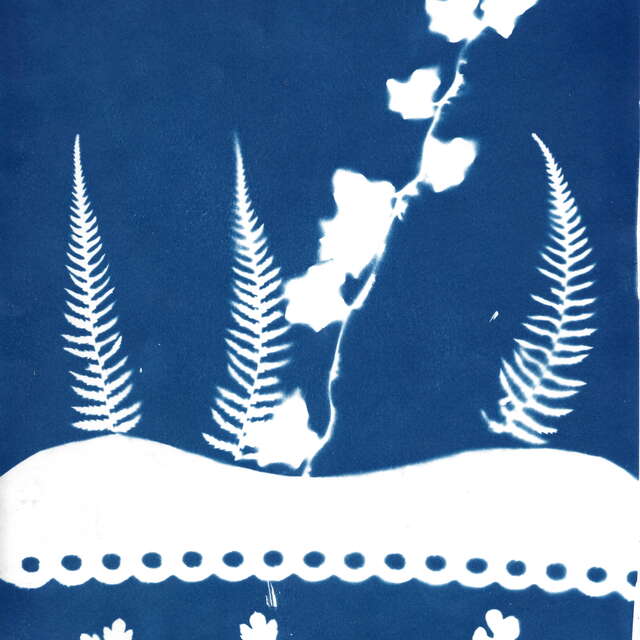 Graines de rivières sauvages - Cyanotypes et poésies - Léguer en fête