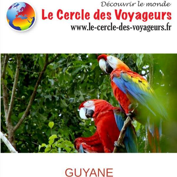 Guyane – Une pépite en Amazonie