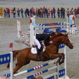 Concours Hippique Perros Jump