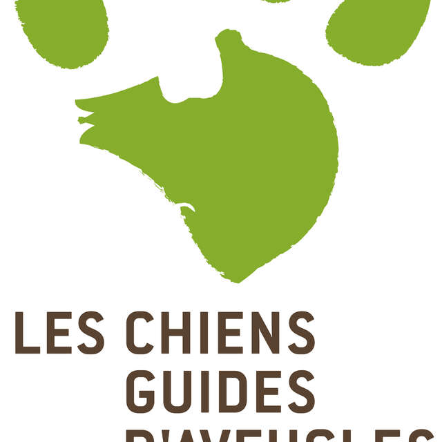 Les chiens guides d'aveugles des Côtes d'Armor