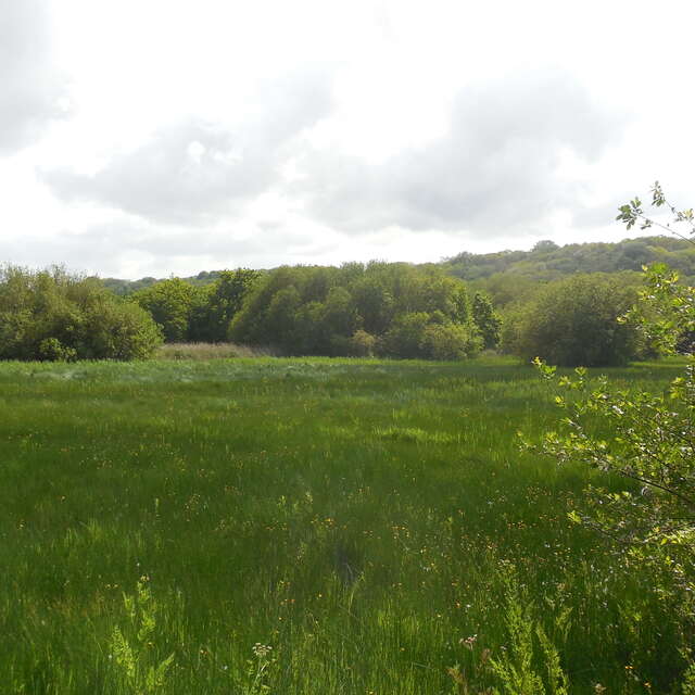 Tour du Marais de Trestel