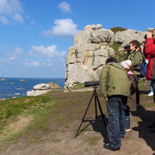 Observation des oiseaux hivernants