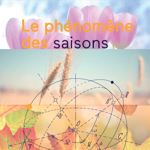 Le phénomène des saisons