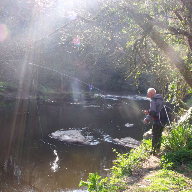 Parcours mouche du Losser sur le Léguer