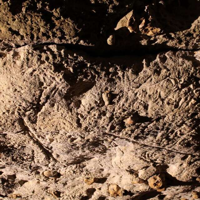 Grotte de Bara Bahau - Le Sanctuaire de l'Ours