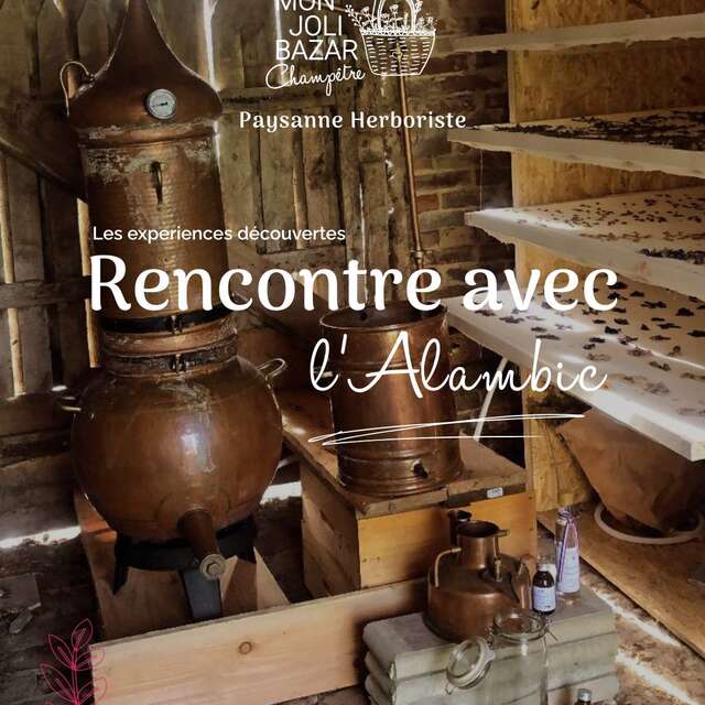 Les expériences découvertes "Rencontre avec l’alambic"
