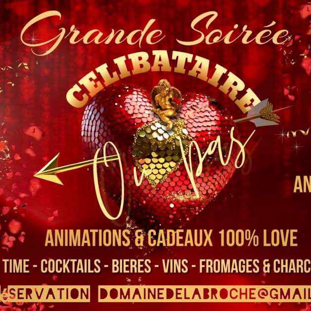 Grande soirée célibataire