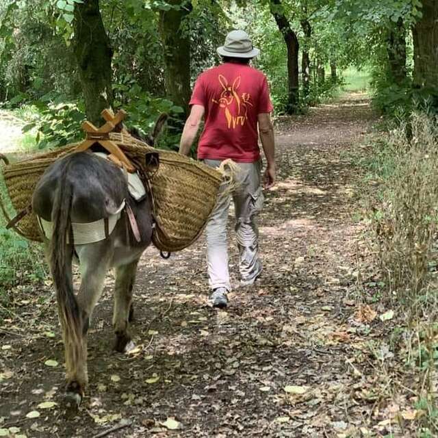 Balade découverte de l'âne