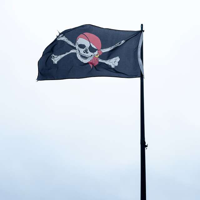Bizy Piraterie