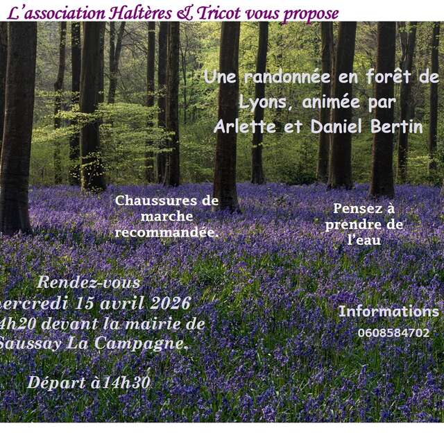 Randonnée en forêt de Lyons