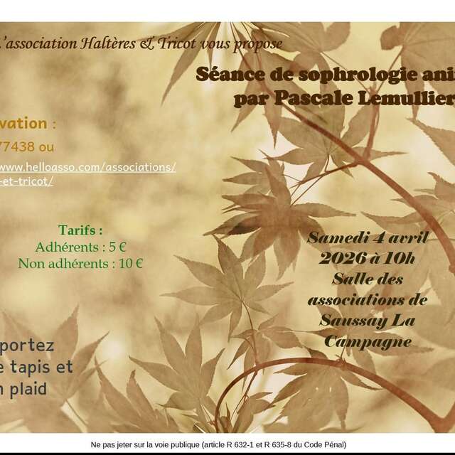 Séance de sophrologie