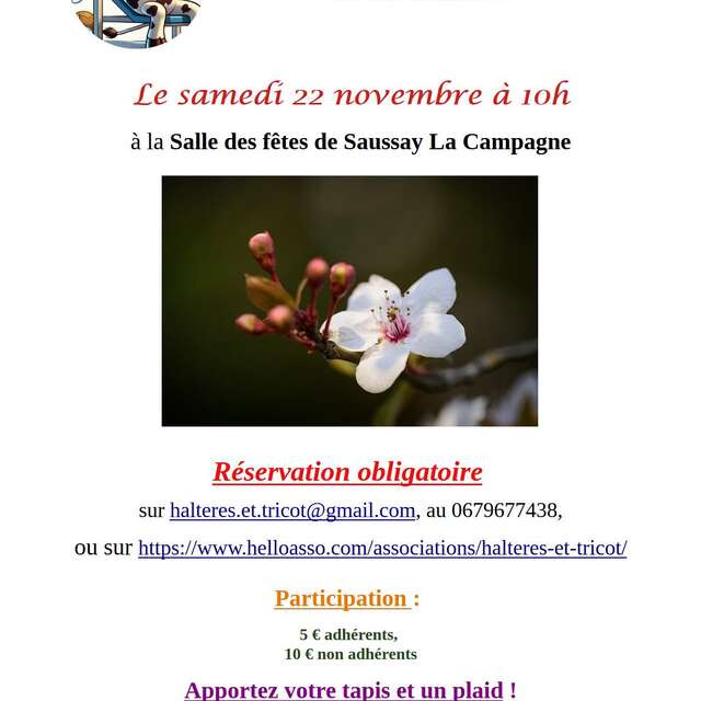 Séance de sophrologie